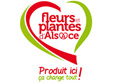 fleur-et-plantes-alsace