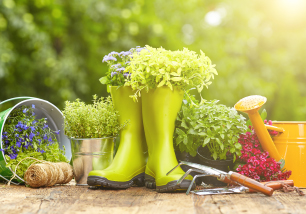 jardin-ete-potager