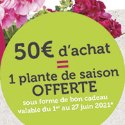 horti-fait-une-fleur