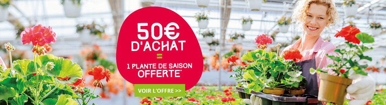 Offre-printemps