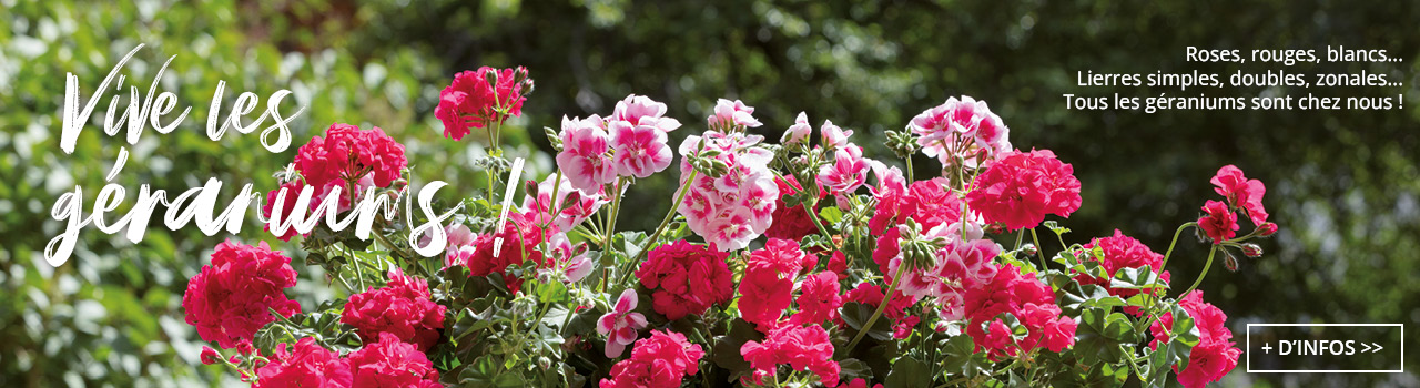 Slider-1280×3507